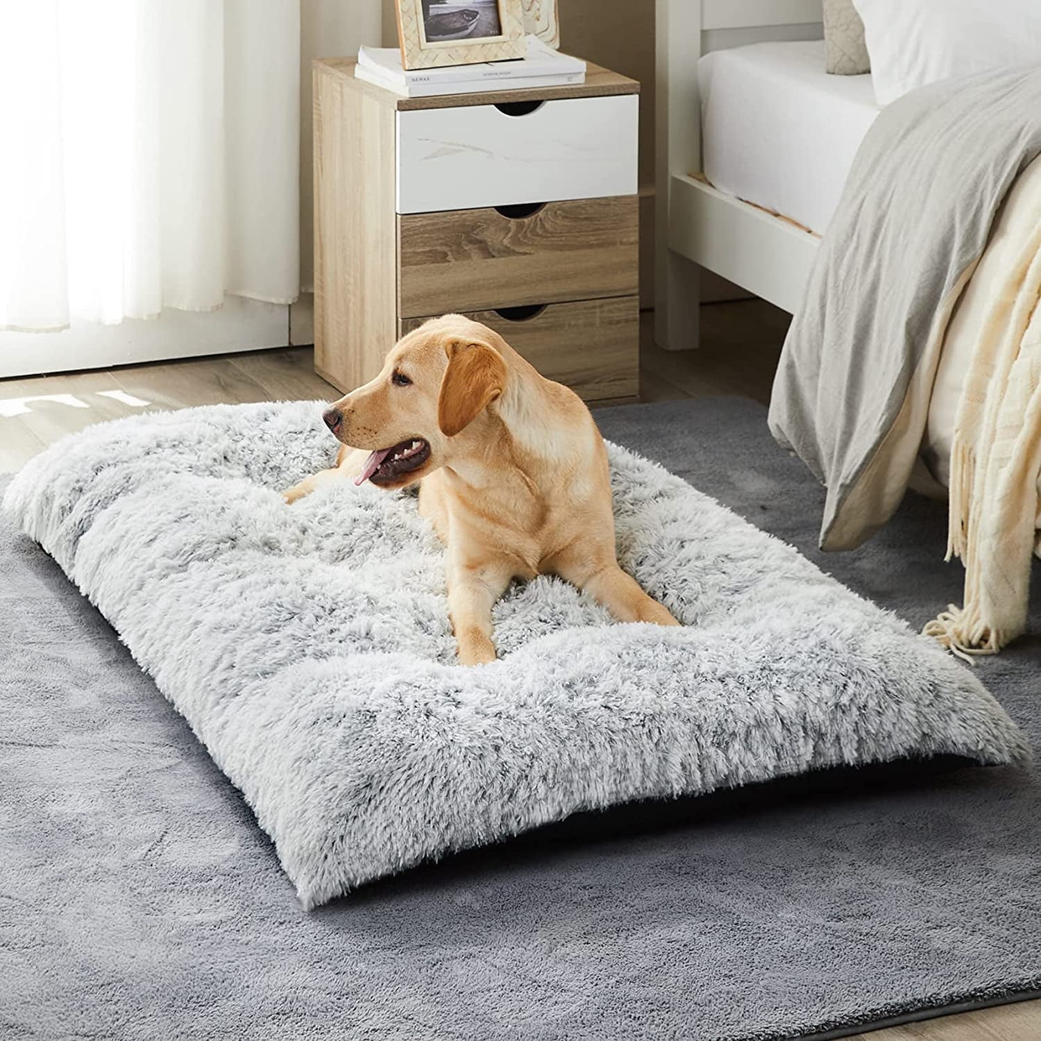 Reyox Large Dog Bed, 41 x 27 inch Plush Dog Cage Bed Fluffy, Washable Dog Mat with Non-Slip Bottom for Large and Medium Dogs
