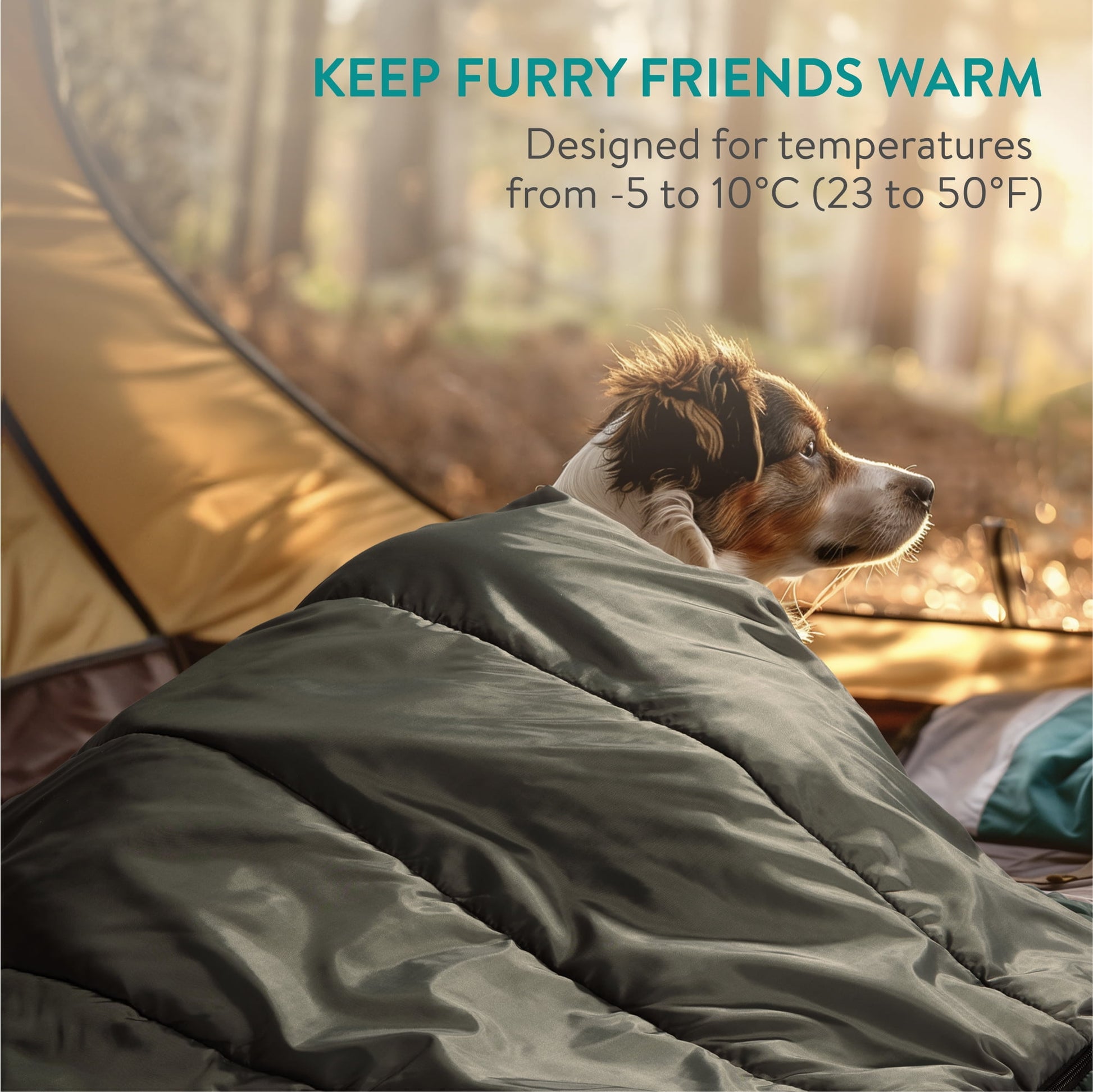 Navaris Dog Travel Bed - Portable and Foldable Outdoor Round Settle Mat for Dogs - Sleeping Bag with Double Sided Zipper - For Camping with Your Pet - Green