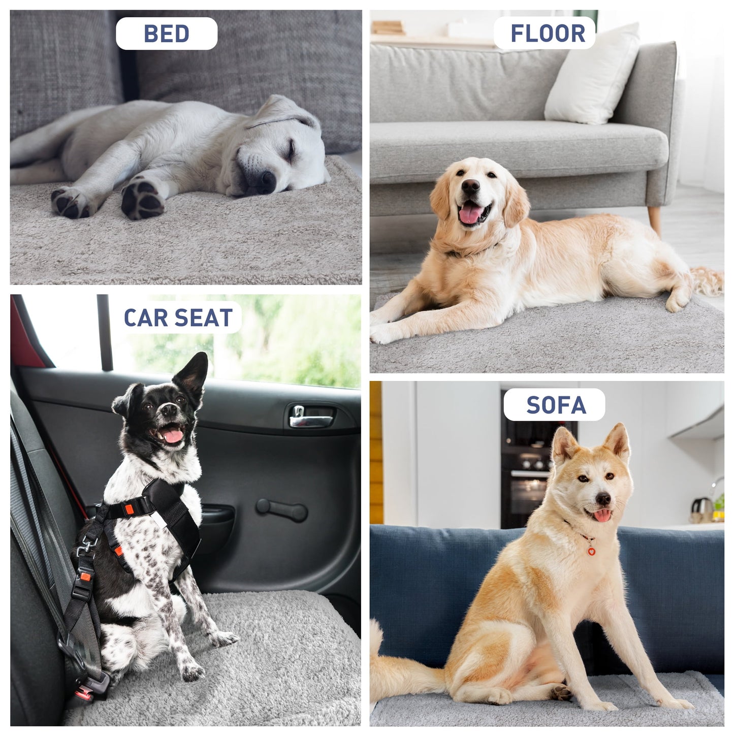 Pawsse Waterproof Dog Blanket for Bed, Pee Proof Pet Blankets for Couch Sofa Cover, Reversible Furniture Protector Sherpa Cushion Mat for Small to Medium Large Dog, Large, Camel/Tuape, 60"" x 80""