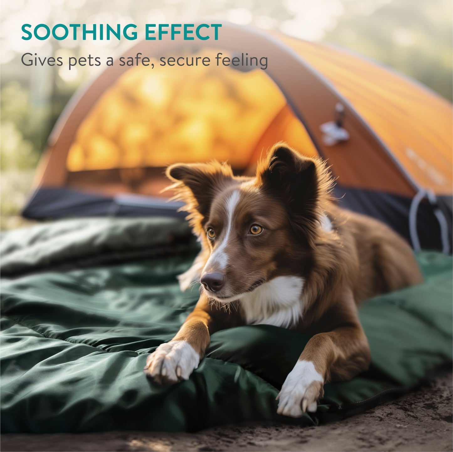 Navaris Dog Travel Bed - Portable and Foldable Outdoor Round Settle Mat for Dogs - Sleeping Bag with Double Sided Zipper - For Camping with Your Pet - Green