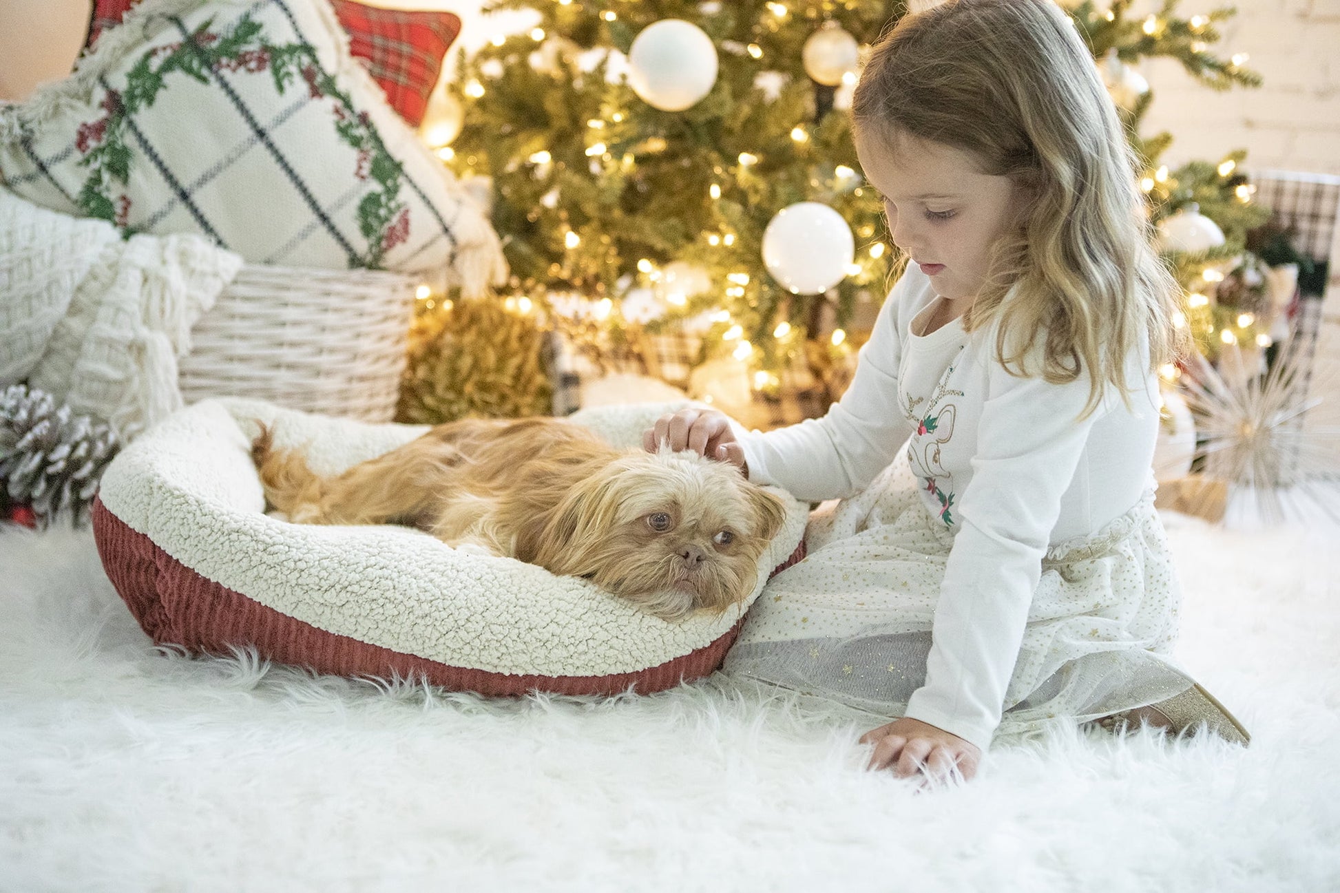 Aspen Pet Round Self Warming Oval Lounger Pet Bed for Dog and Cats, 19.5 x 19.5 x 7, Red