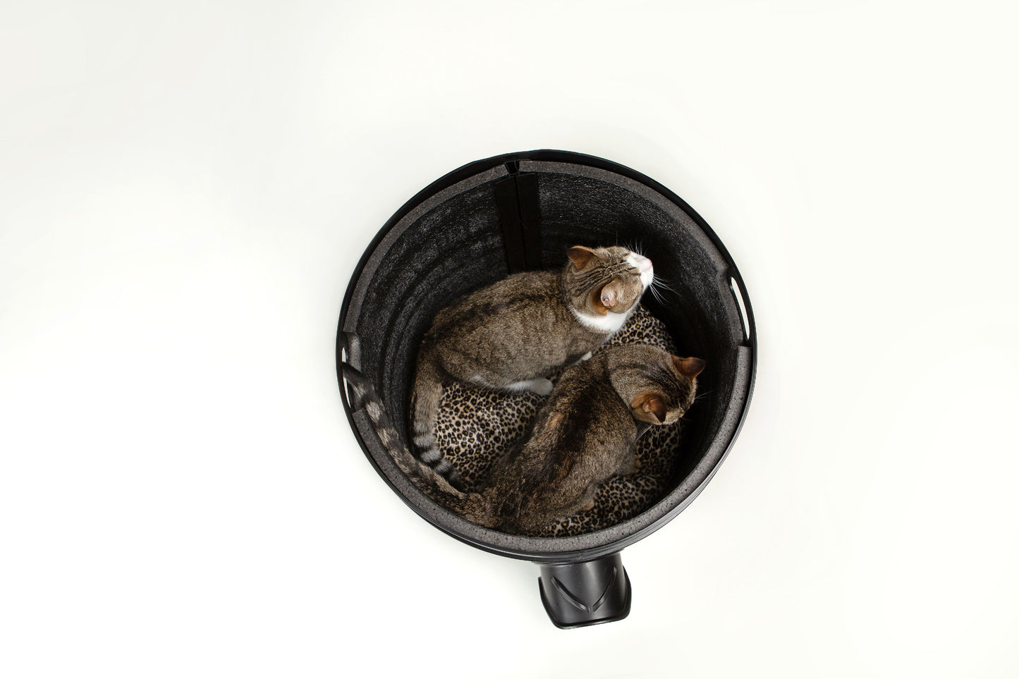 The Kitty Tube, NEW GEN 4 design, Outdoor Cat House with Straw