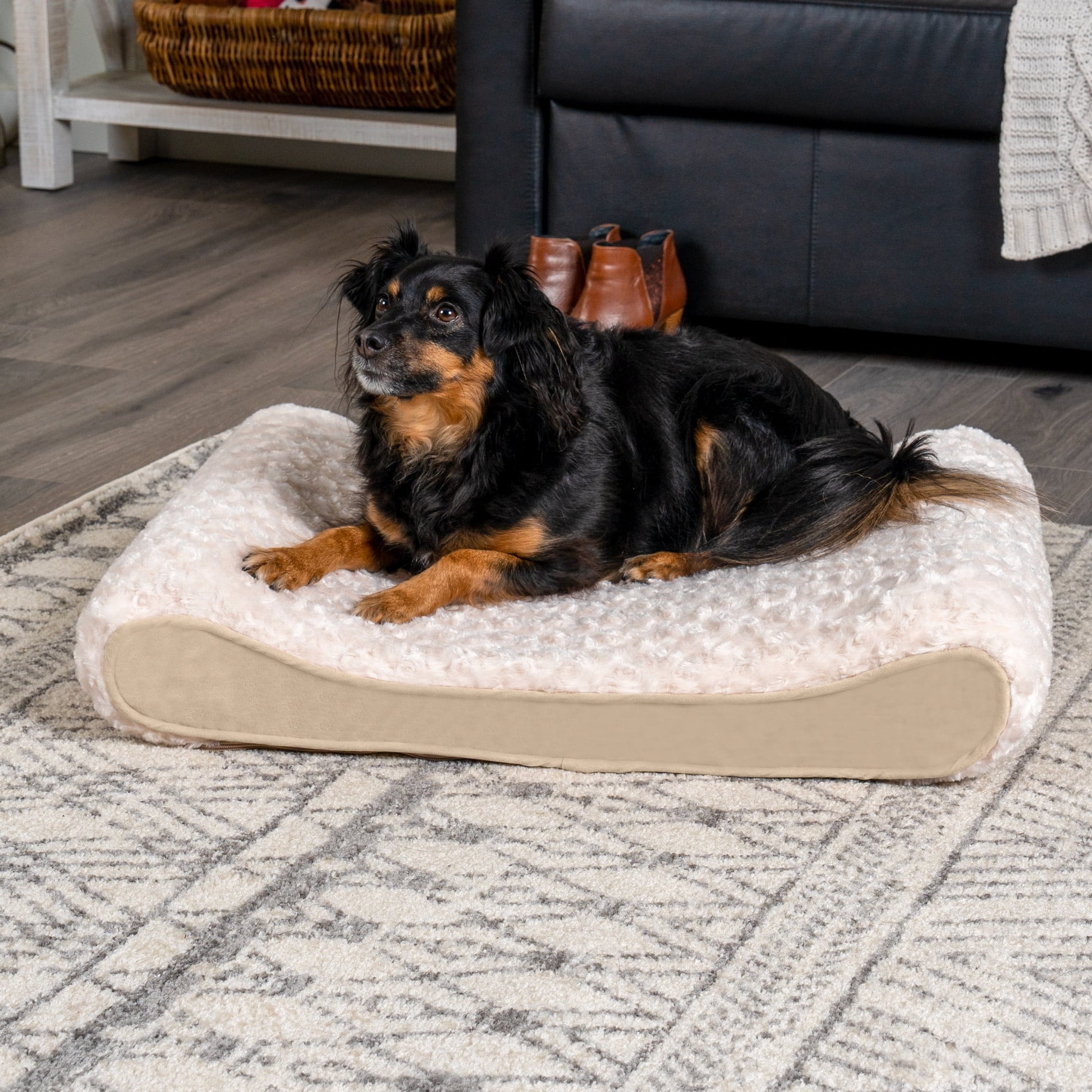 FurHaven Pet Products Ultra Plush Luxe Lounger Orthopedic Pet Bed for Dogs & Cats - Cream, Medium