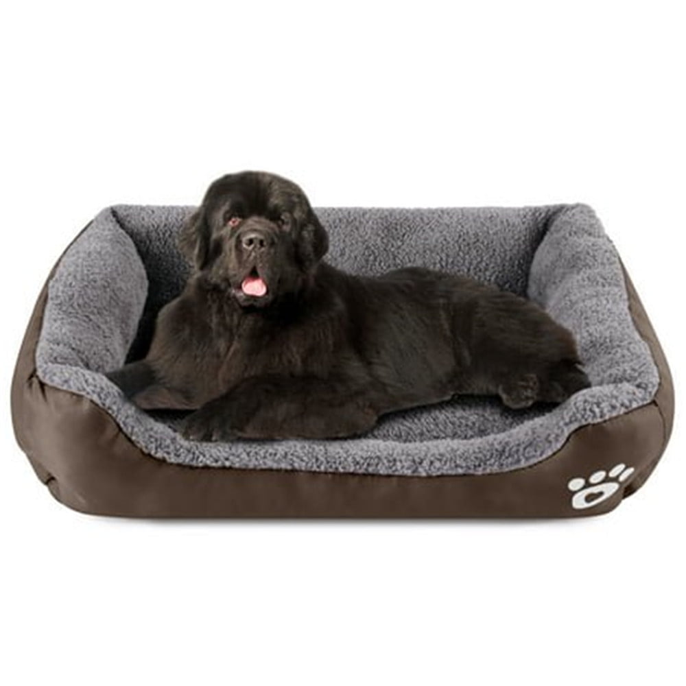 Medium Dog Beds for Medium Dogs Washable, Rectangle Dog Bed Medium Size Dog, Orthopedic Dog Bed, Warming Soft Calming Sleeping Puppy Bed Durable Pet Bed