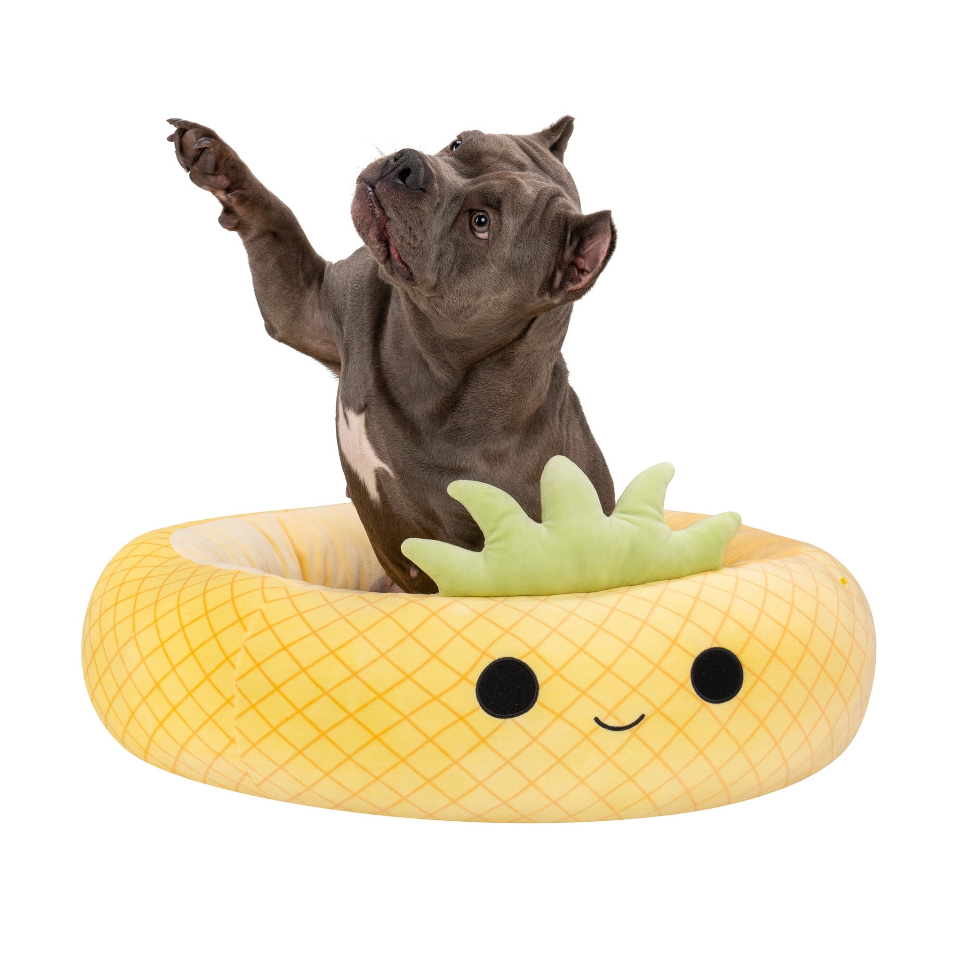 Squishmallows 30 inch Yellow Pineapple Pet Bed - Large Ultra Soft Plush Pet Bed