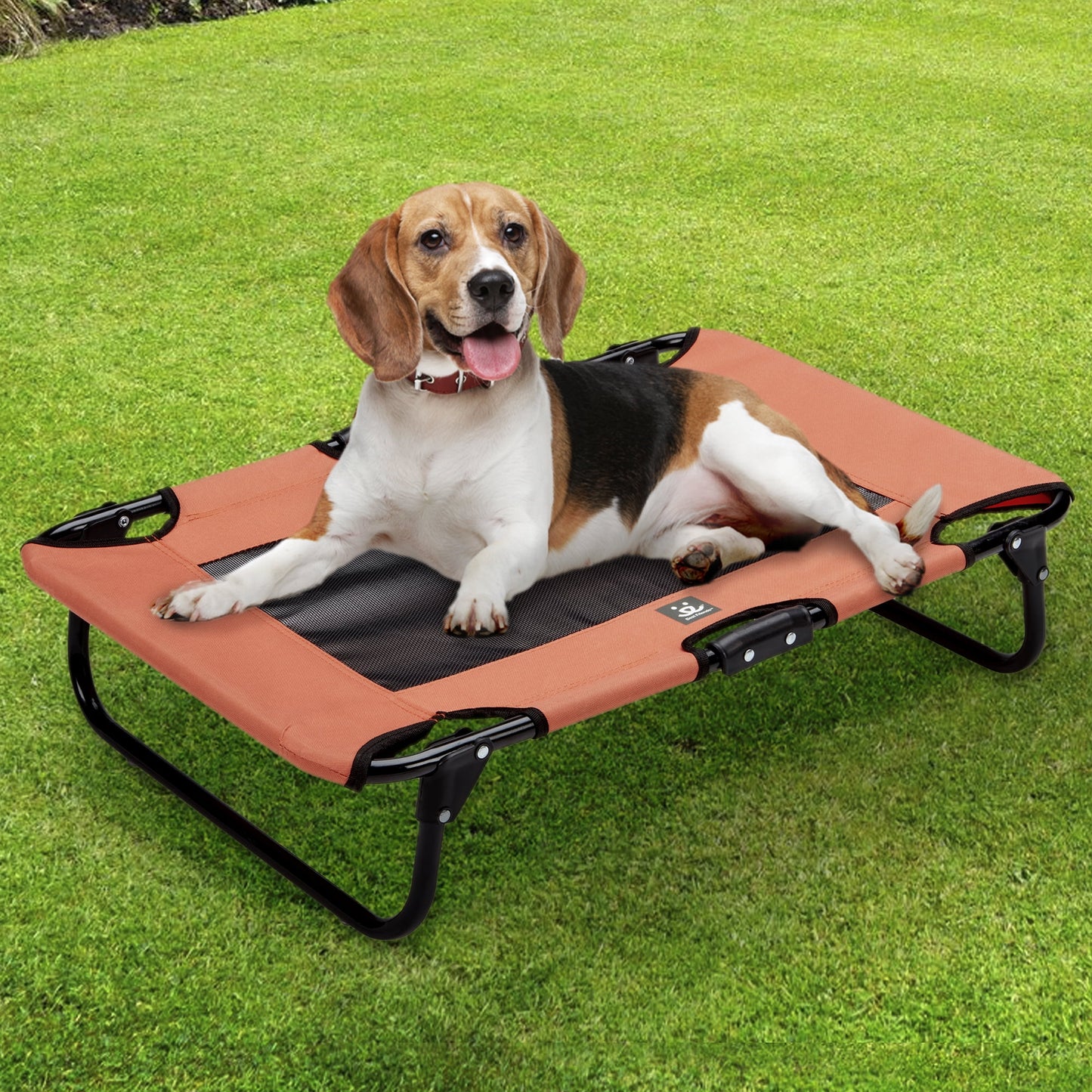 Best Friends Folding Pet Cot with Bonus Collapsible Bowl, Medium - Mesh Center for ventilation with Foldable Legs for easy travel - For pet up to 50 lbs. - Orange & Gray