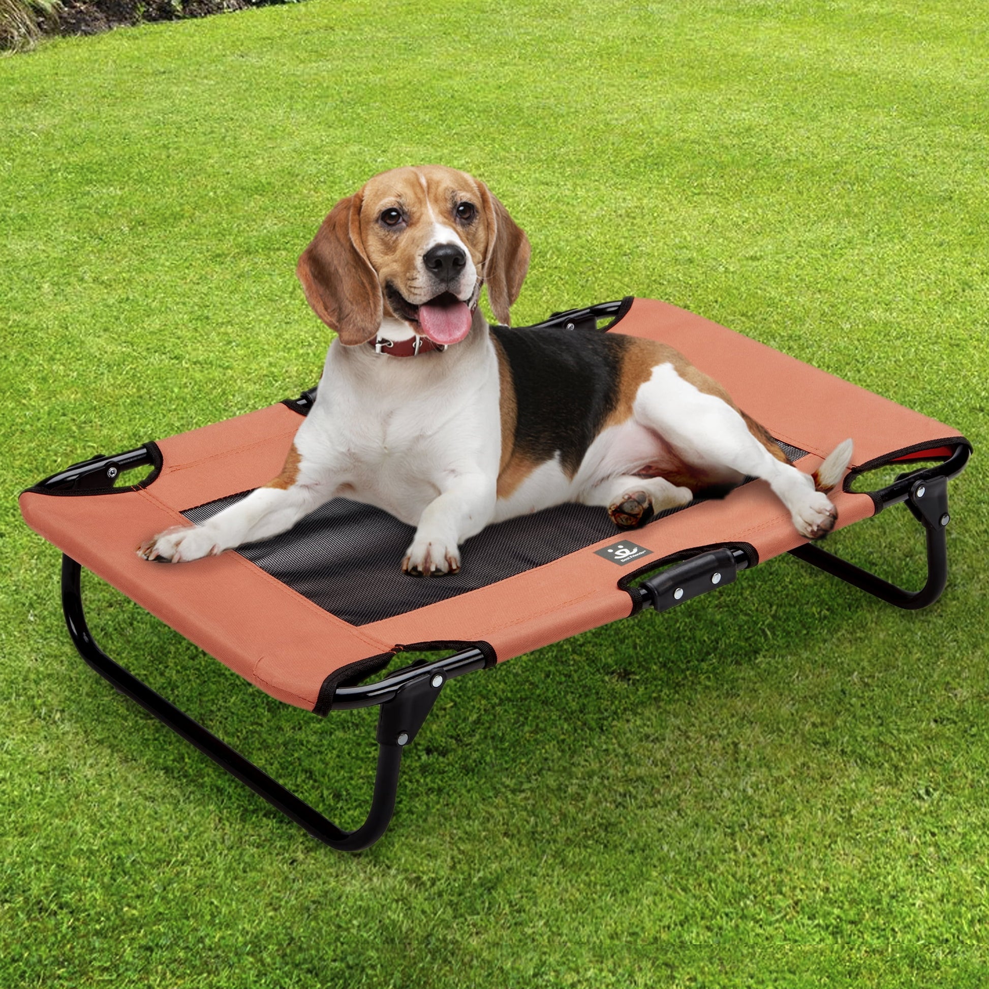 Best Friends Folding Pet Cot with Bonus Collapsible Bowl, Medium - Mesh Center for ventilation with Foldable Legs for easy travel - For pet up to 50 lbs. - Orange & Gray