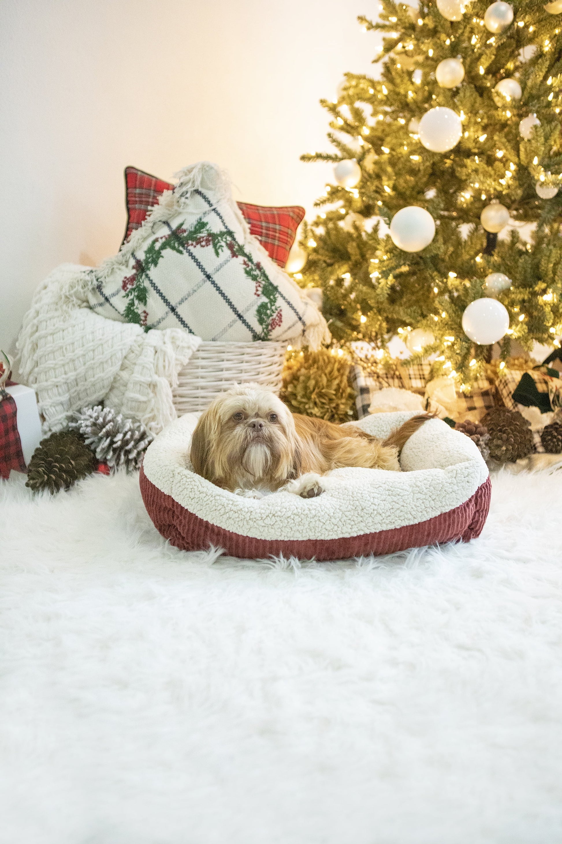 Aspen Pet Round Self Warming Oval Lounger Pet Bed for Dog and Cats, 19.5 x 19.5 x 7, Red