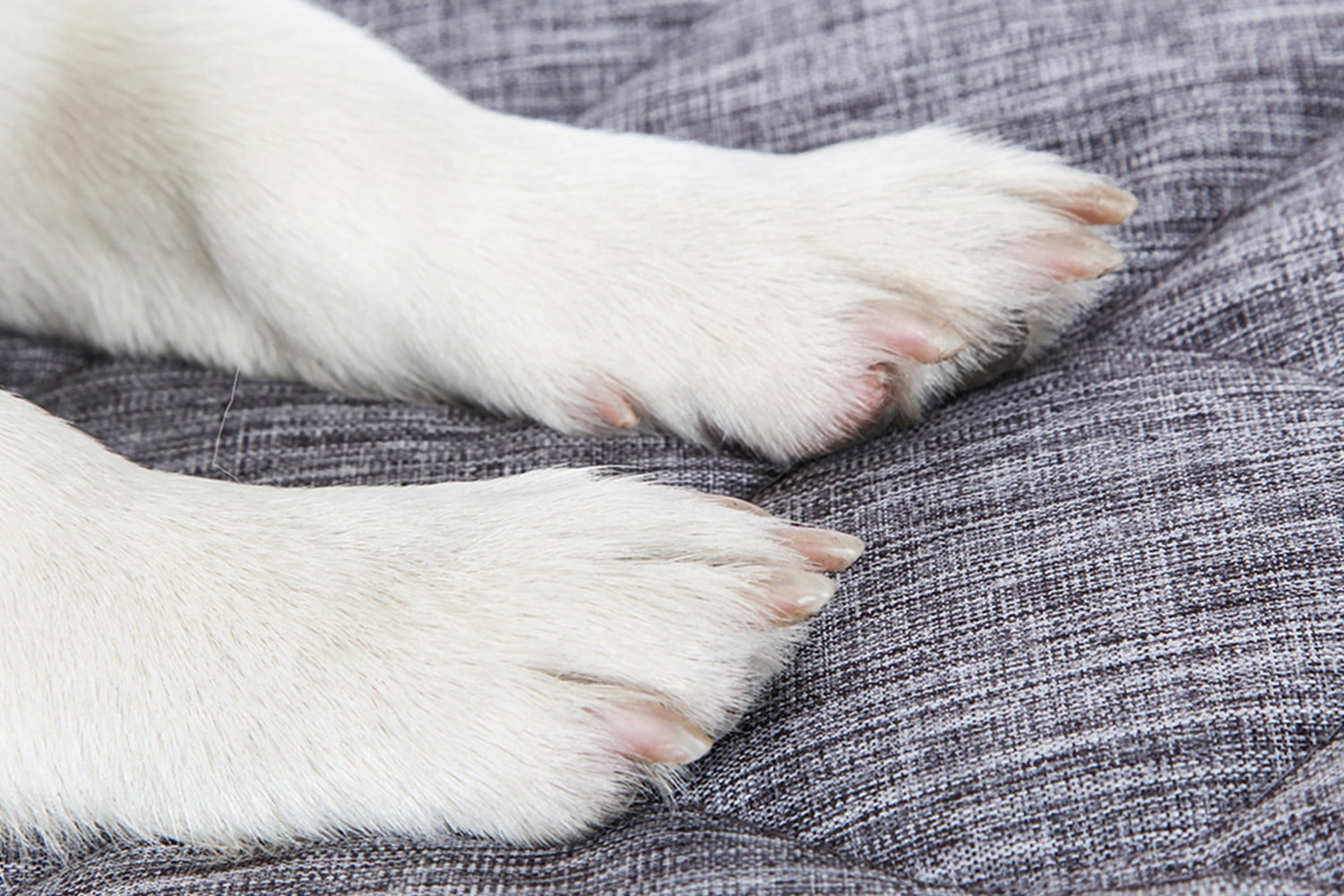 QIAOQI Dog Bed Crate Mat Grey Kennel Pad | Washable Orthopedic Pillow Pet Beds Cushion Padding Bolster